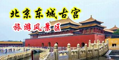 被大鸡巴操b视频中国北京-东城古宫旅游风景区