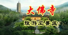 插下面的视频中国浙江-新昌大佛寺旅游风景区